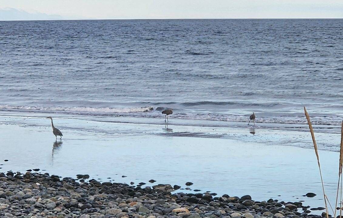 Photo of Others in Oak Harbor