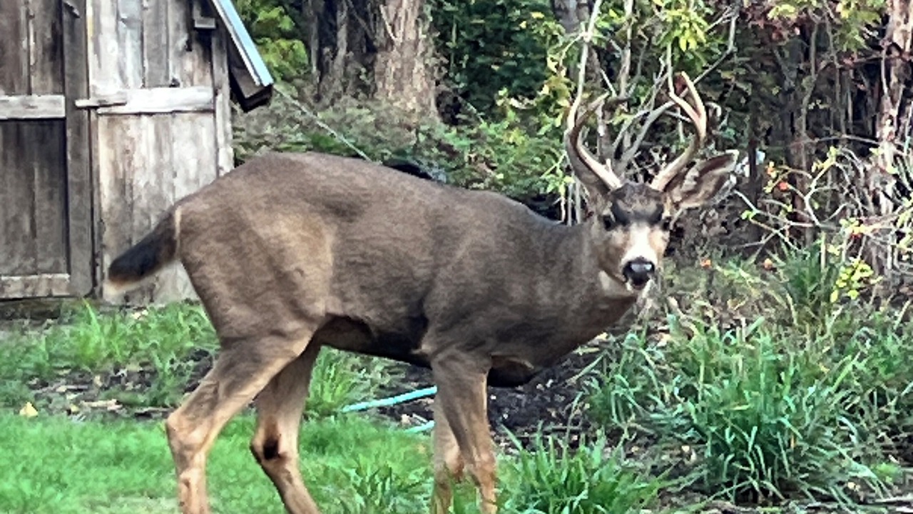 Photo of Others in Cedar Mill