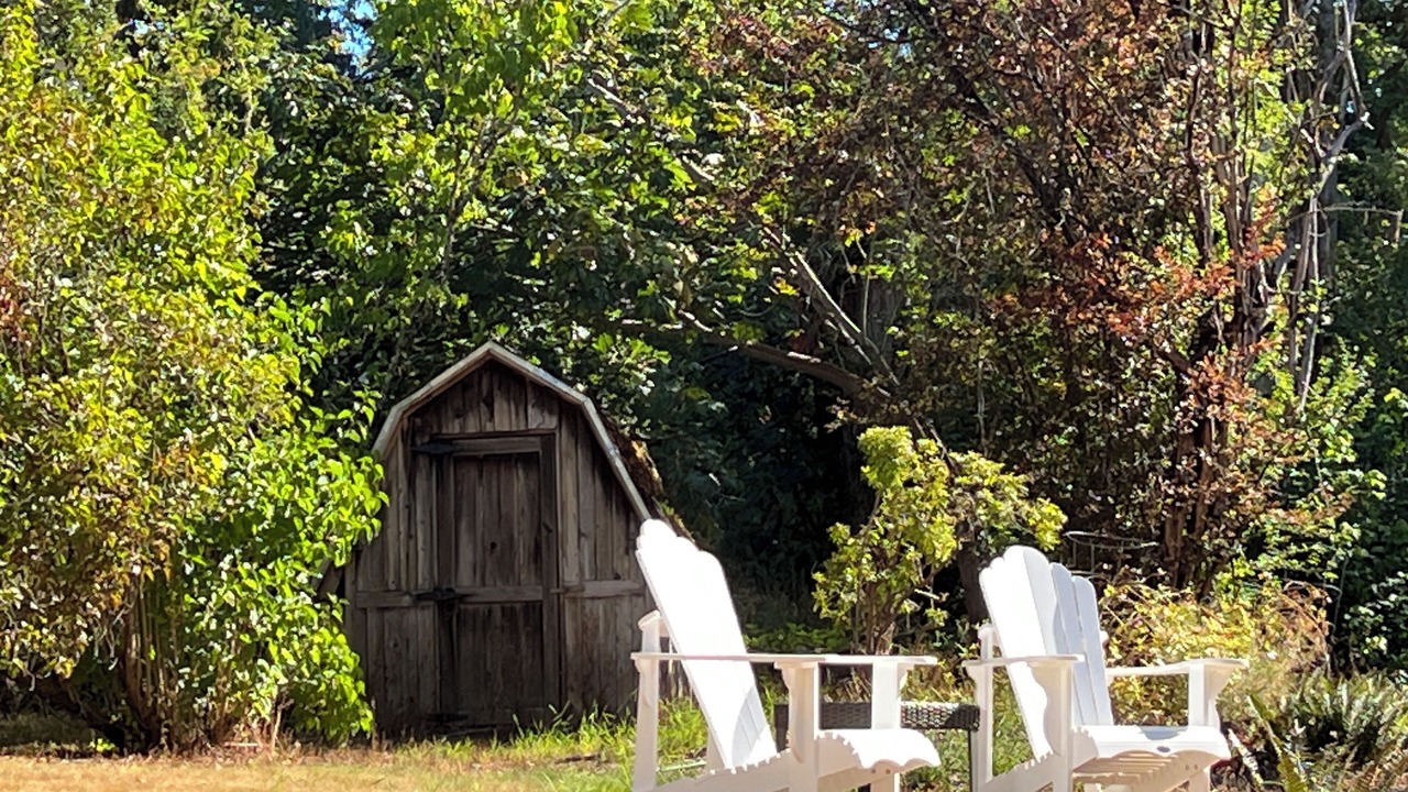 Photo of Outdoor in Cedar Mill