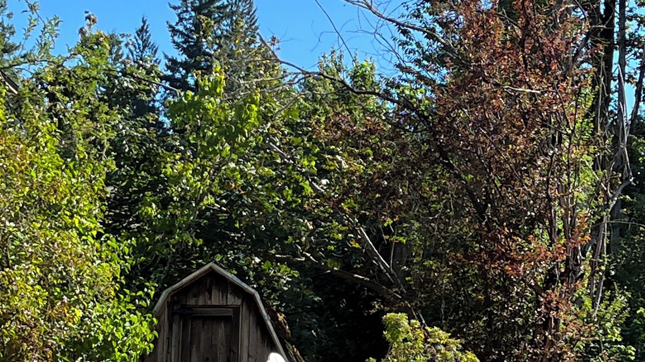 Photo of Outdoor in Cedar Mill