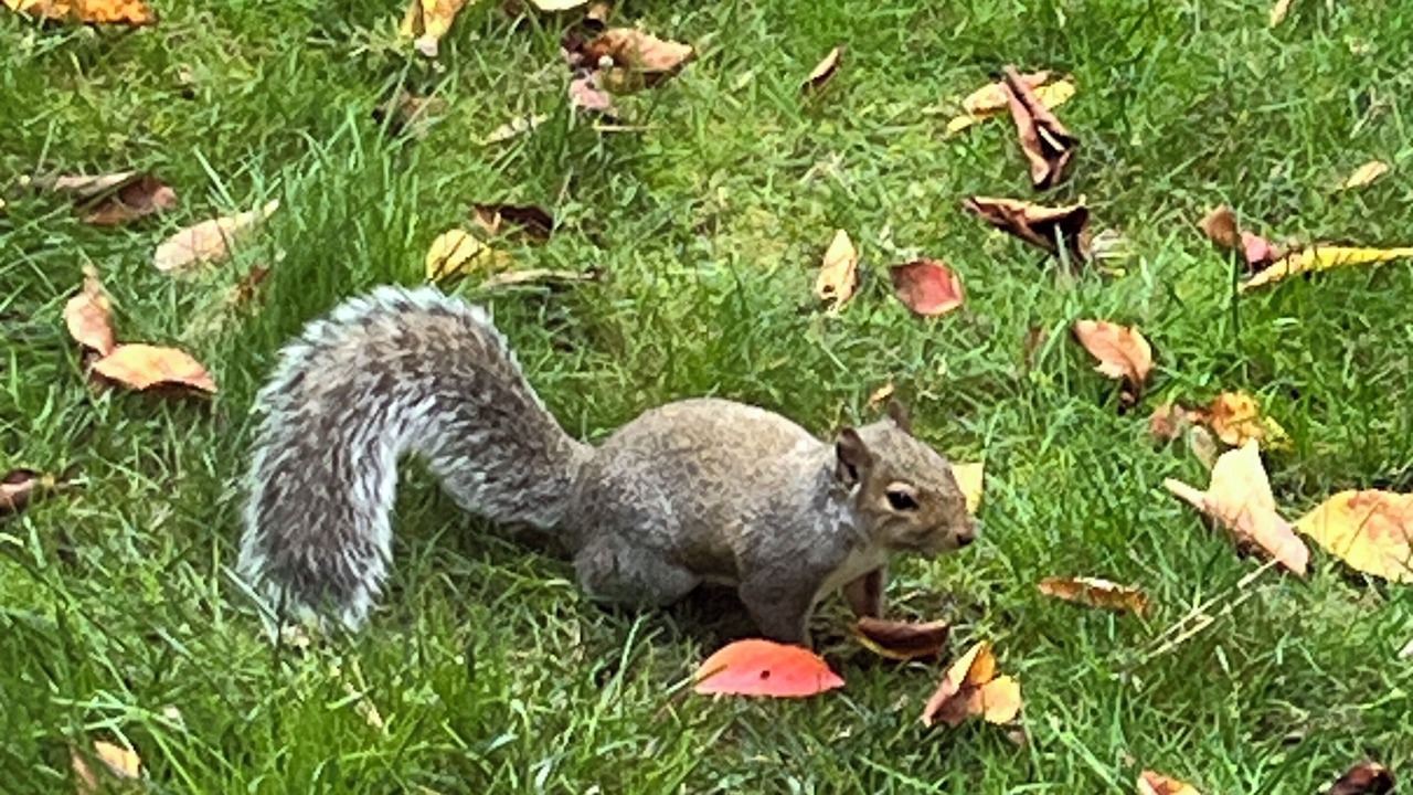 Photo of Others in Cedar Mill