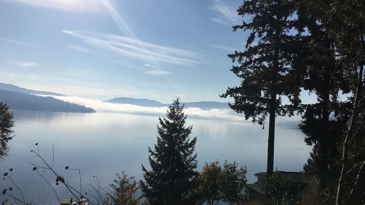 Photo of Others in Northeast Bellevue