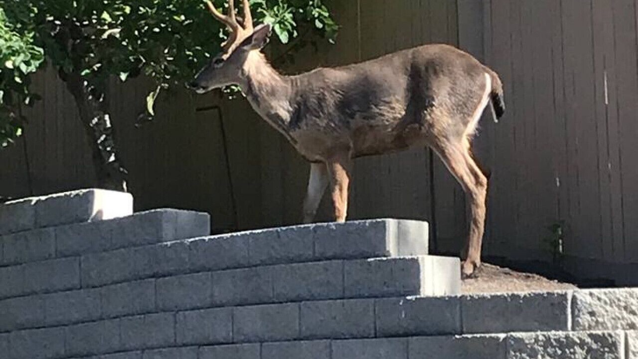Photo of Outdoor in Northeast Bellevue