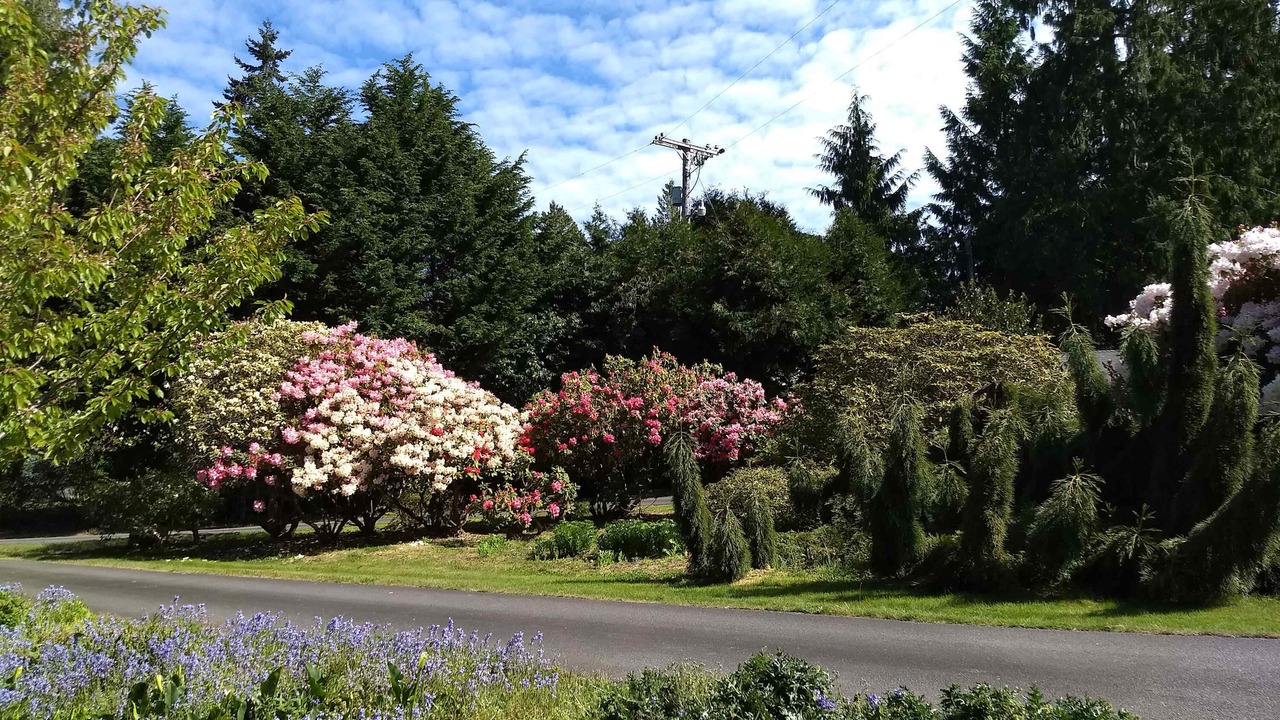 Photo of Others in Sequim