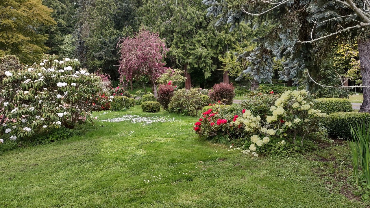 Photo of Outdoor in Sequim