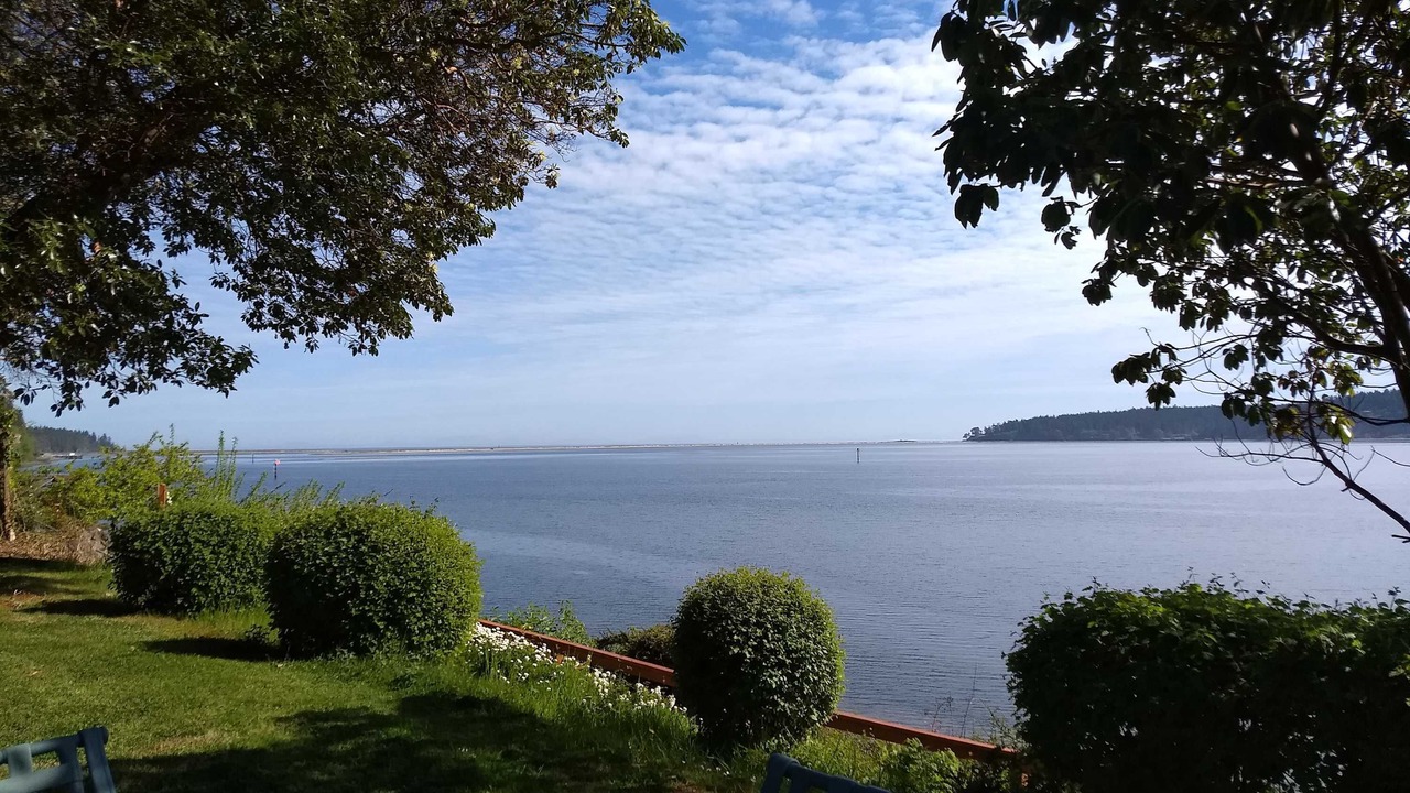 Photo of Others in Sequim