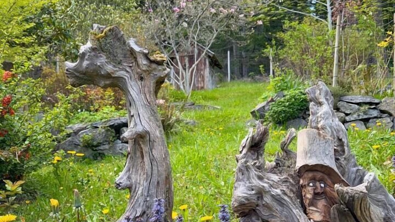 Photo of Outdoor in Eastsound