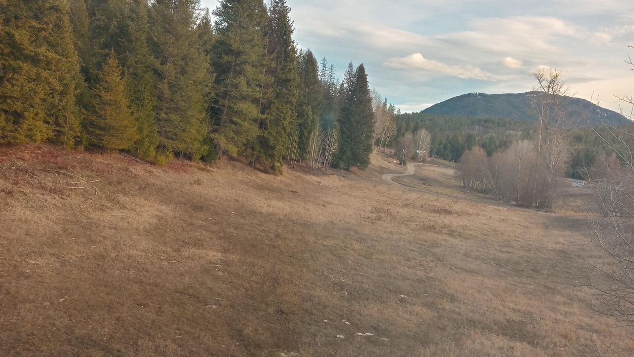 Photo of Others in Colville