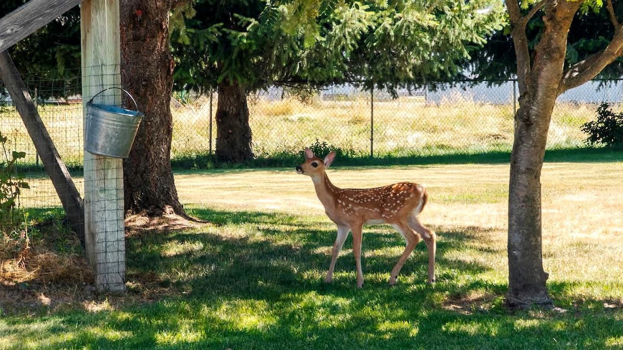 Photo of Others in Dalton Gardens