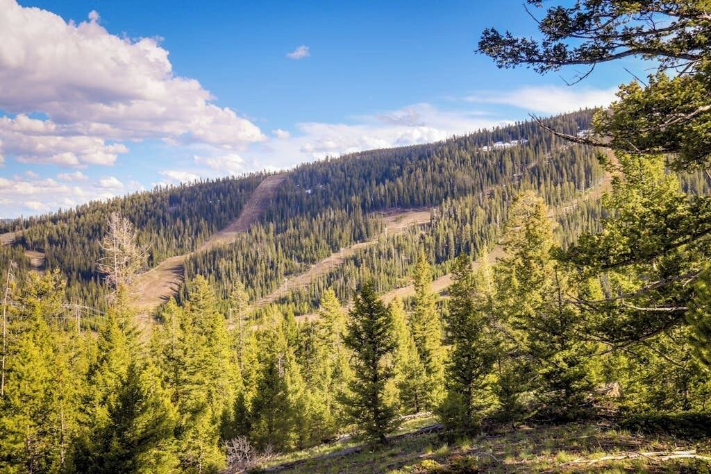 Photo of Others in Big Horn
