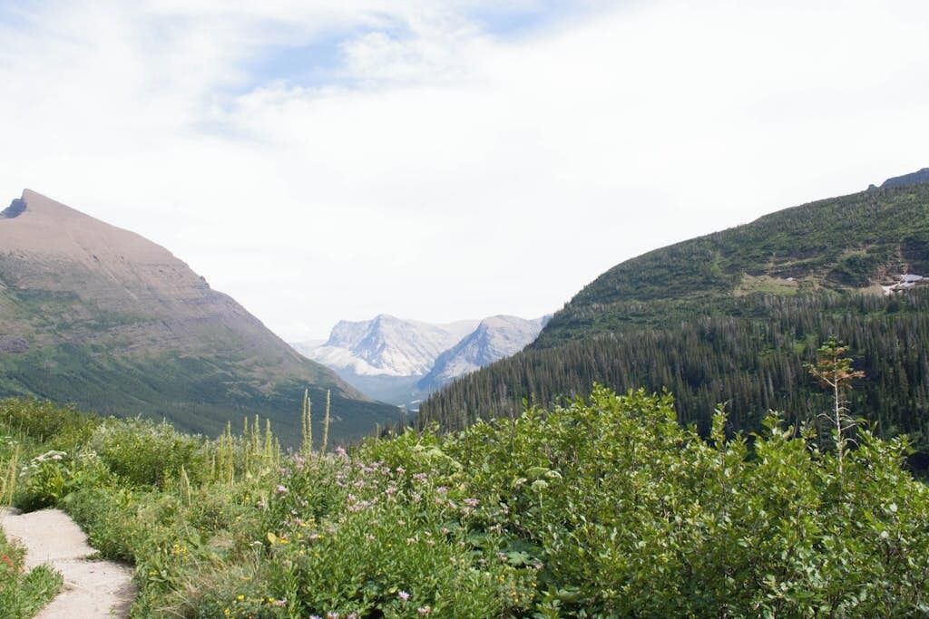 Photo of Others in Saddle Ridge