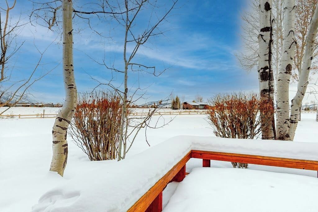 Photo of Outdoor in Jackson