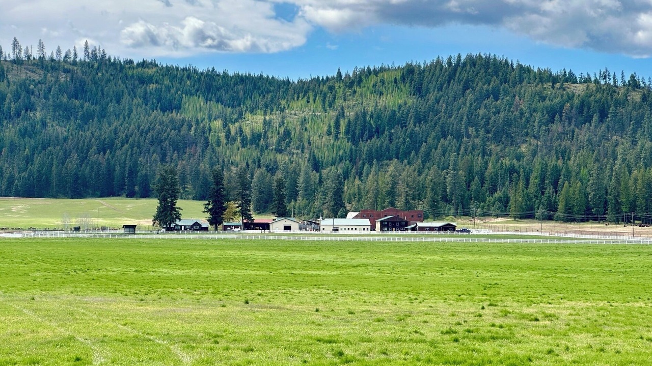 Photo of Others in Blanchard