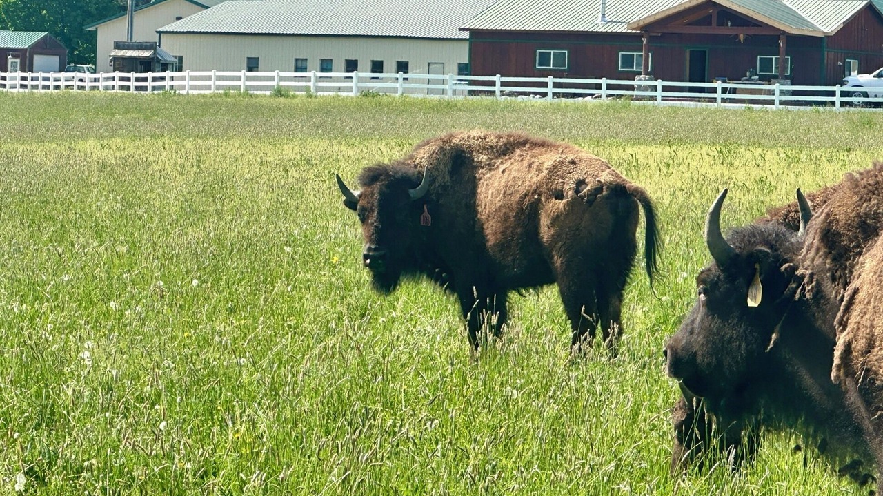 Photo of Others in Blanchard