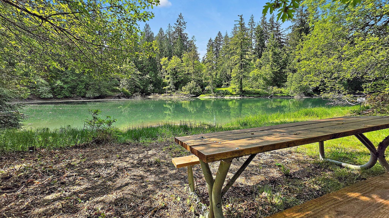 Photo of Outdoor in Olympia