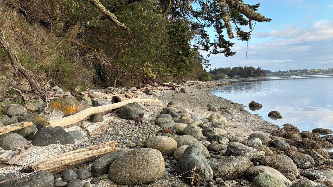 Photo of Others in Coupeville