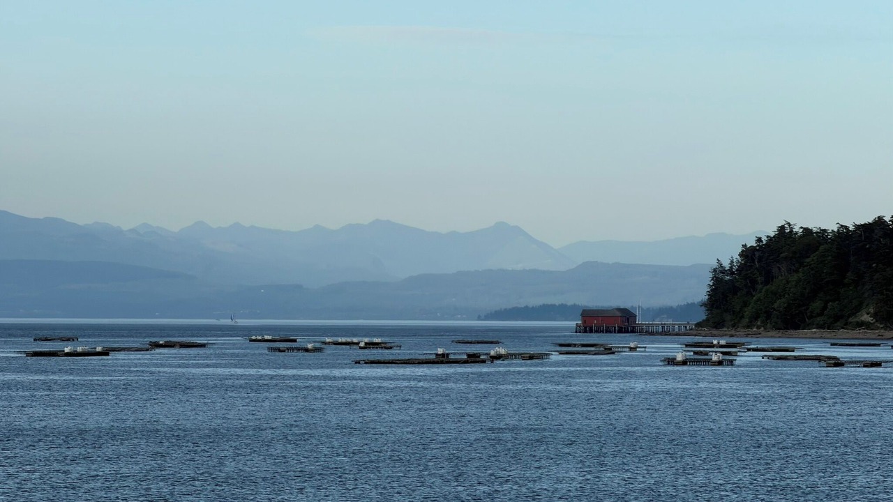 Photo of Others in Coupeville