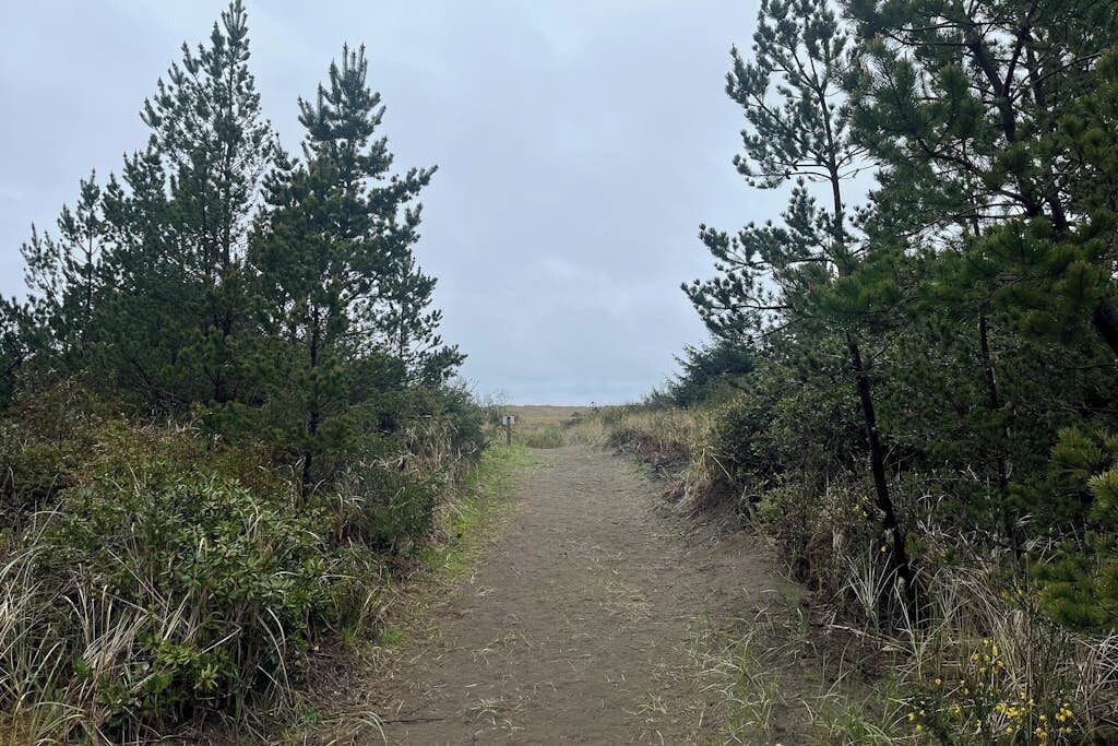 Photo of Others in Copalis Beach