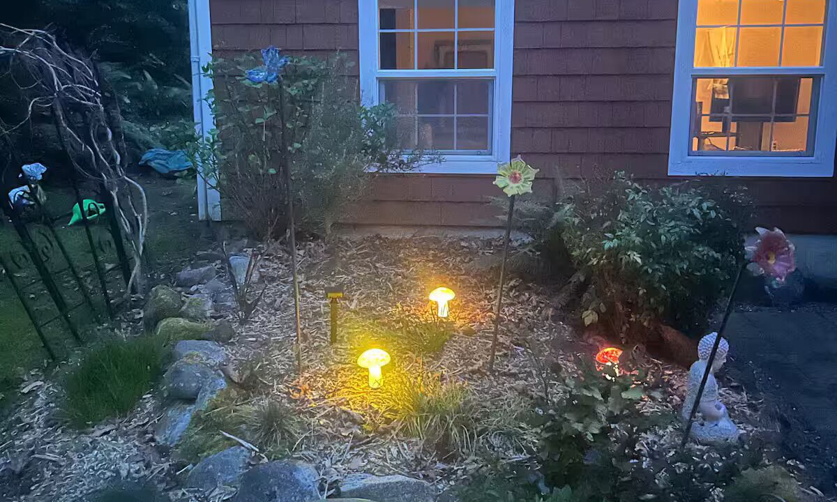 Photo of Outdoor in Rollingbay