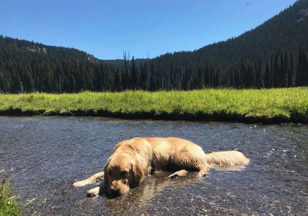 Photo of Others in Bend