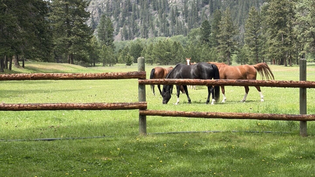 Photo of Others in Drummond