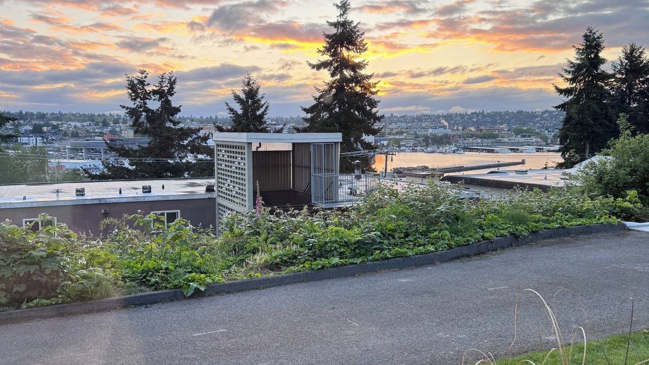 Photo of Outdoor in Ballard