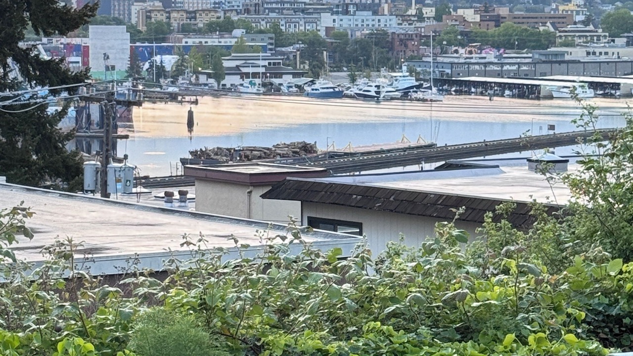Photo of Others in Ballard