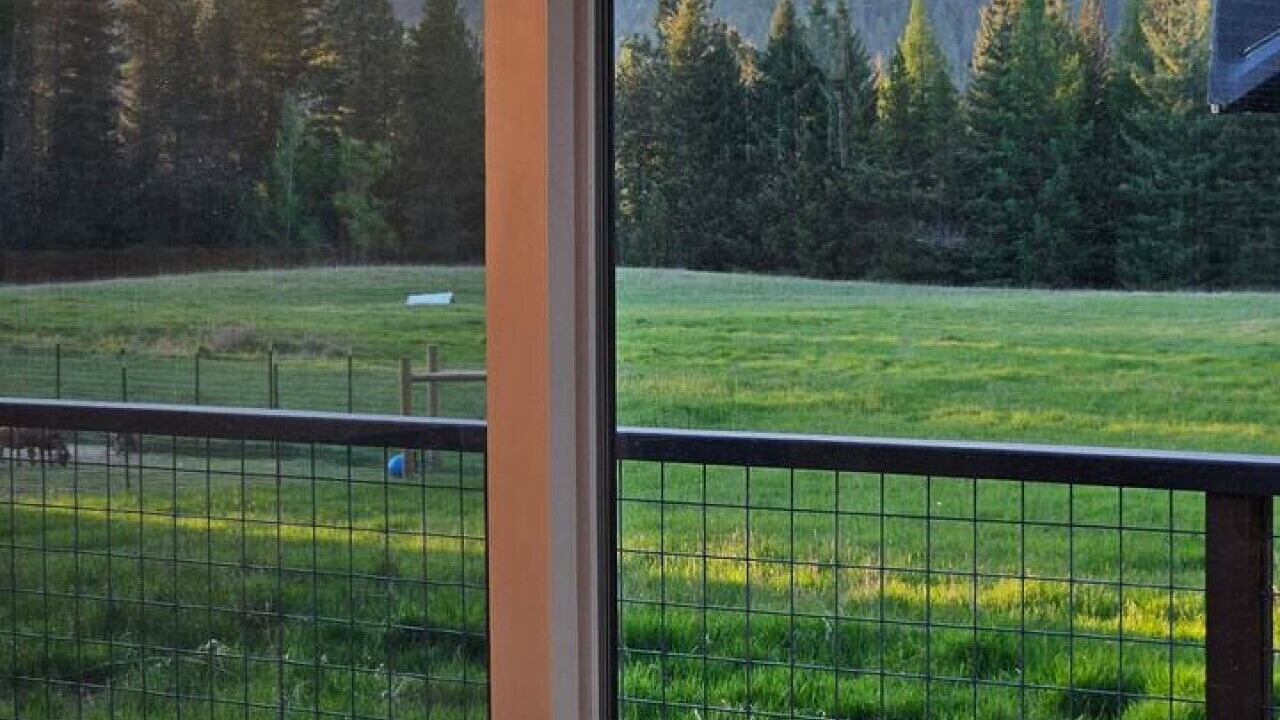 Photo of Outdoor in Sagle