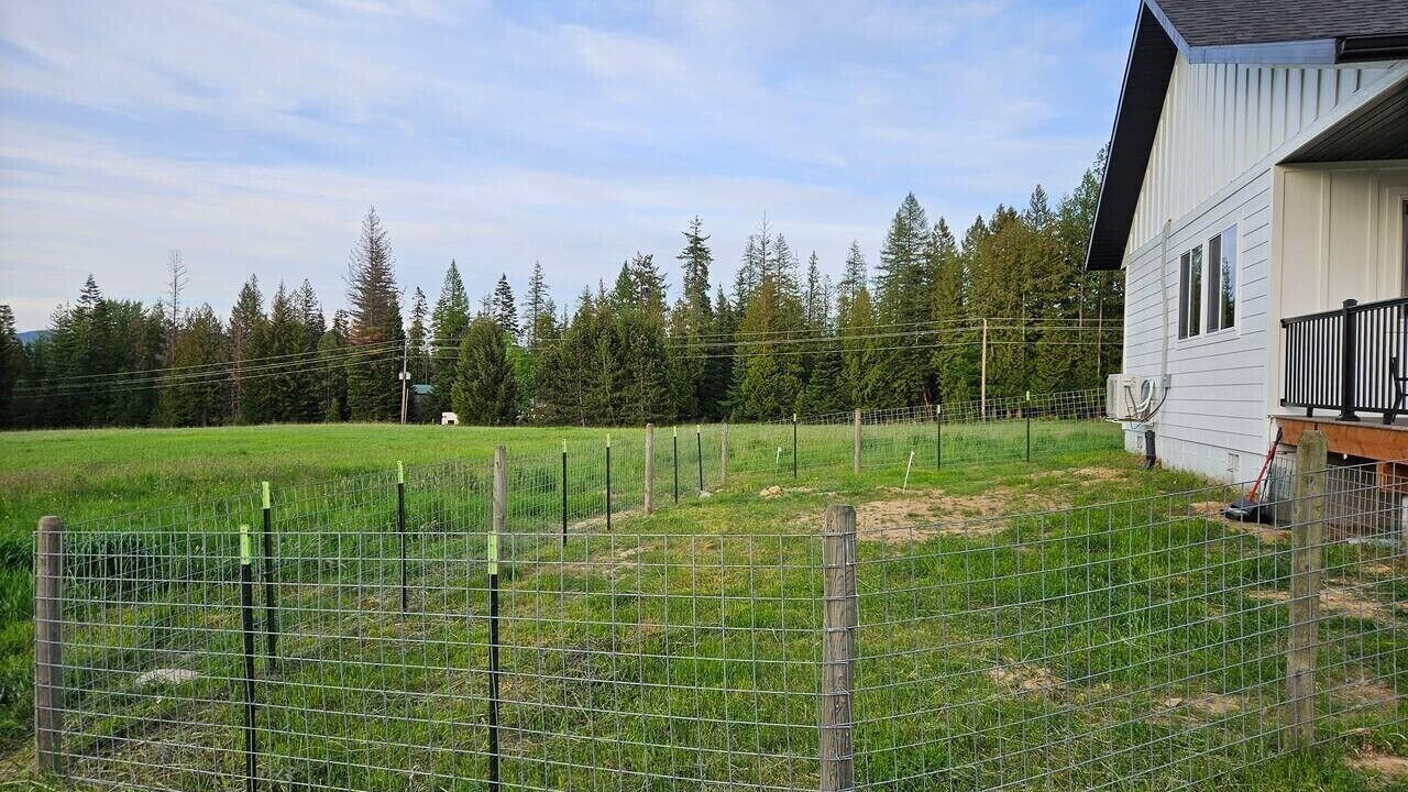 Photo of Outdoor in Sagle