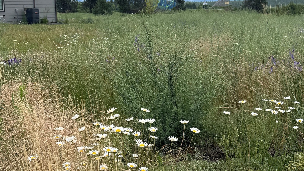 Photo of Outdoor in Athol