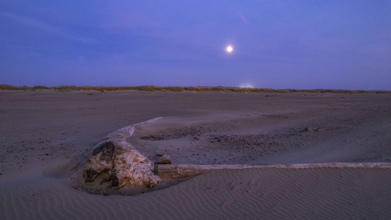 Photo of Others in Ocean Shores