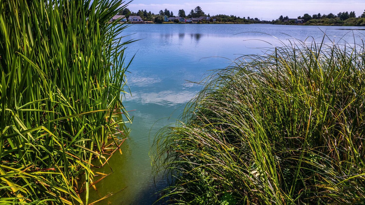 Photo of Others in Ocean Shores