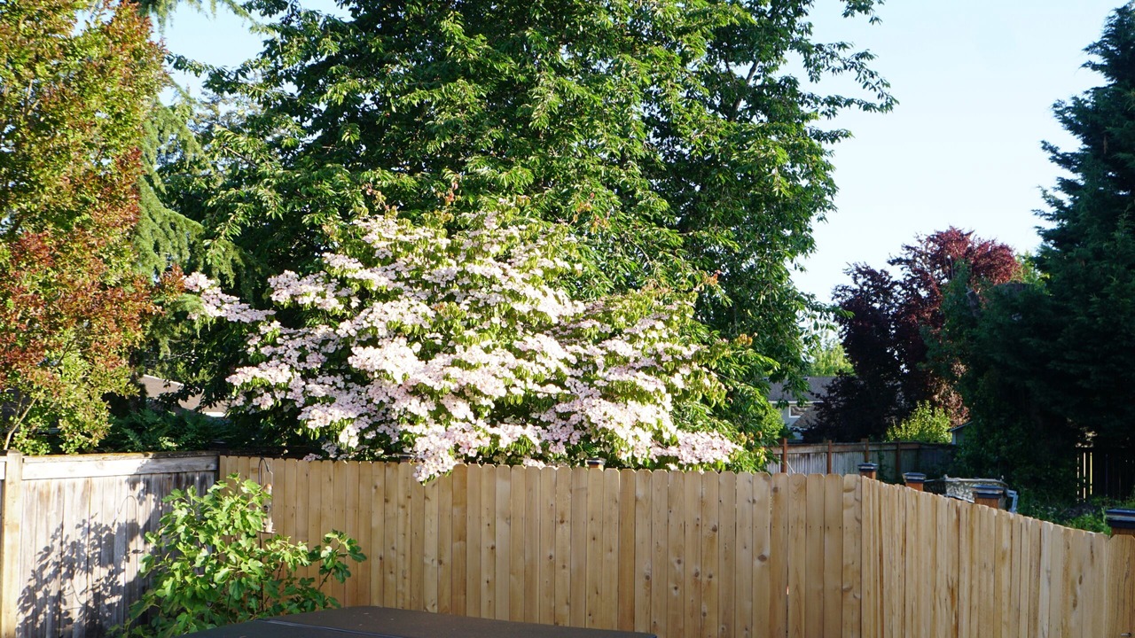 Photo of Outdoor in Puyallup