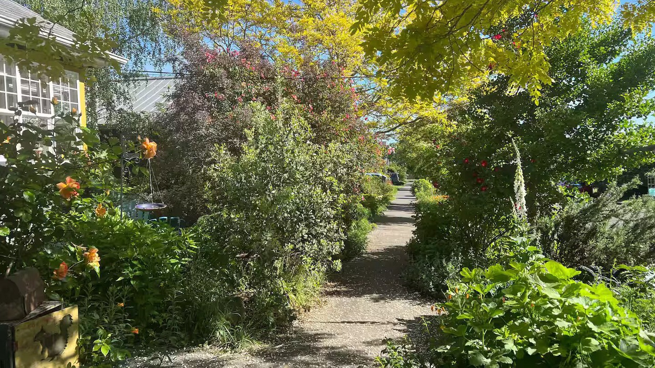 Photo of Outdoor in Ballard