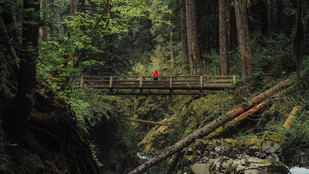 Photo of Others in Port Angeles
