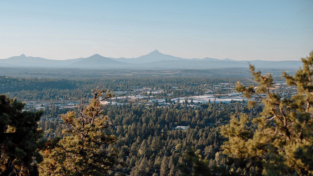 Photo of Others in Larkspur