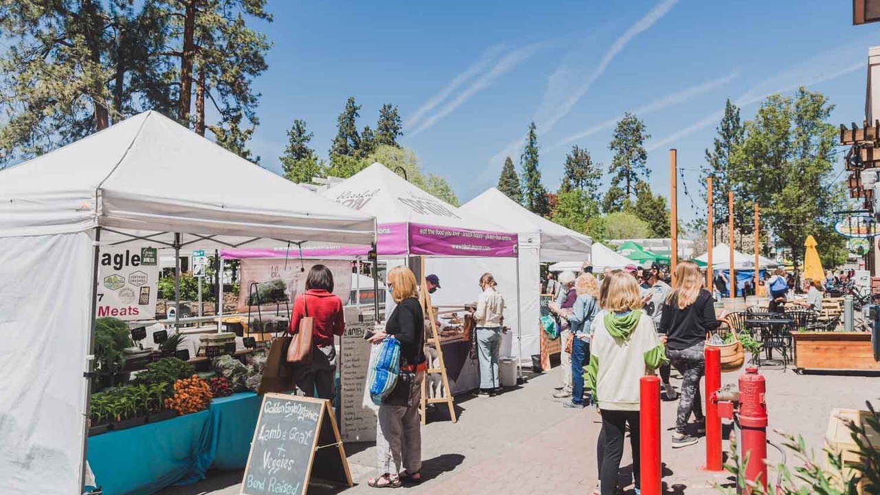 Photo of Others in Larkspur