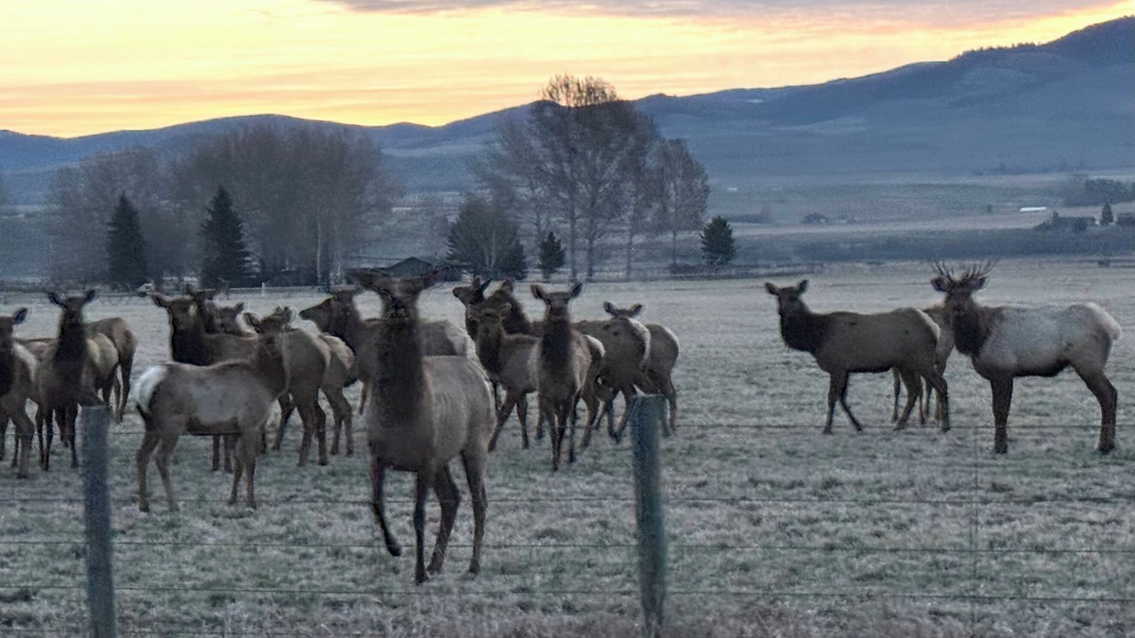 Photo of Others in Corvallis