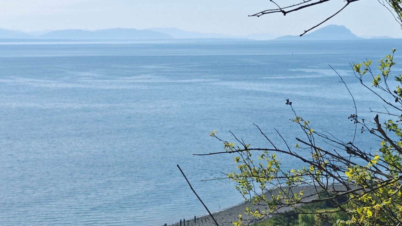 Photo of Others in Point Roberts