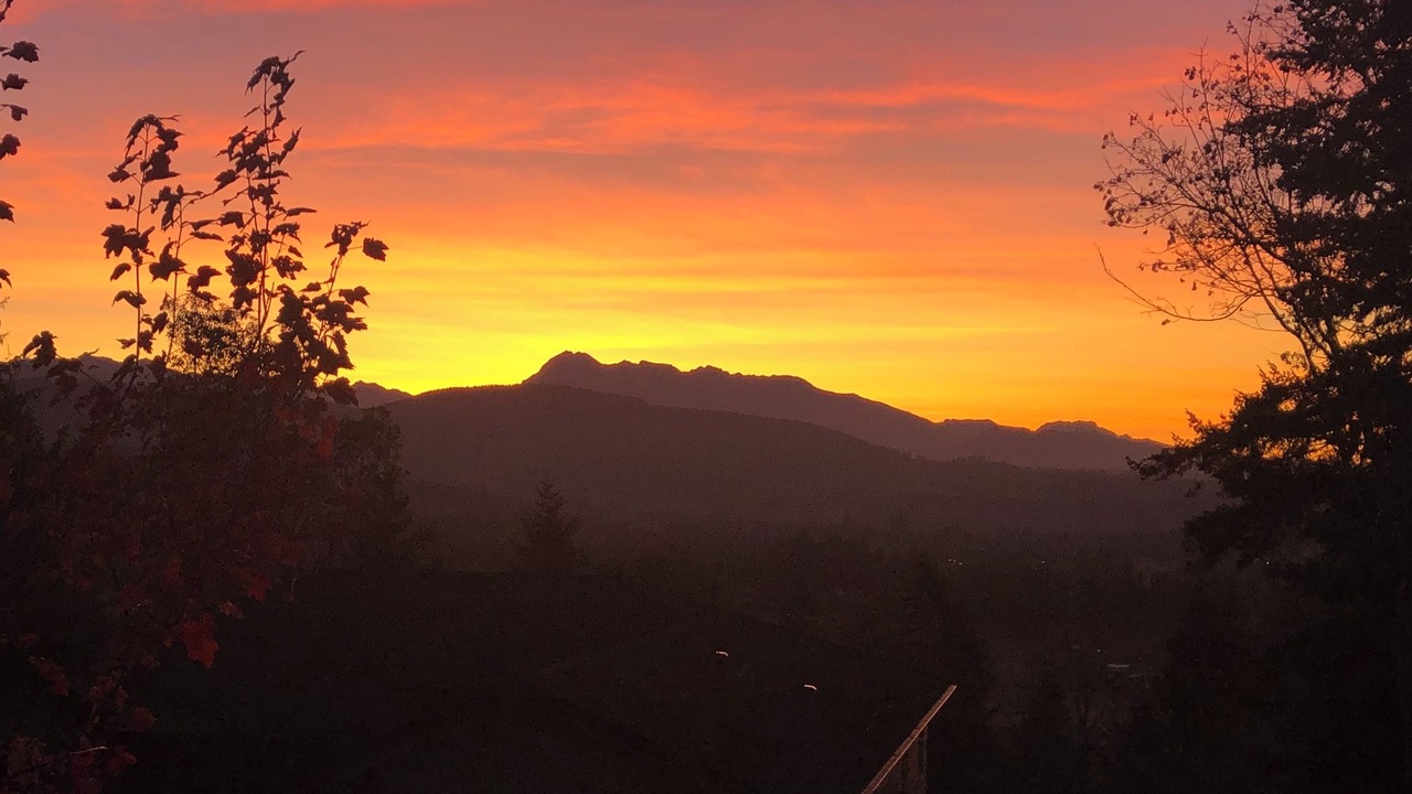 Photo of Others in Sequim