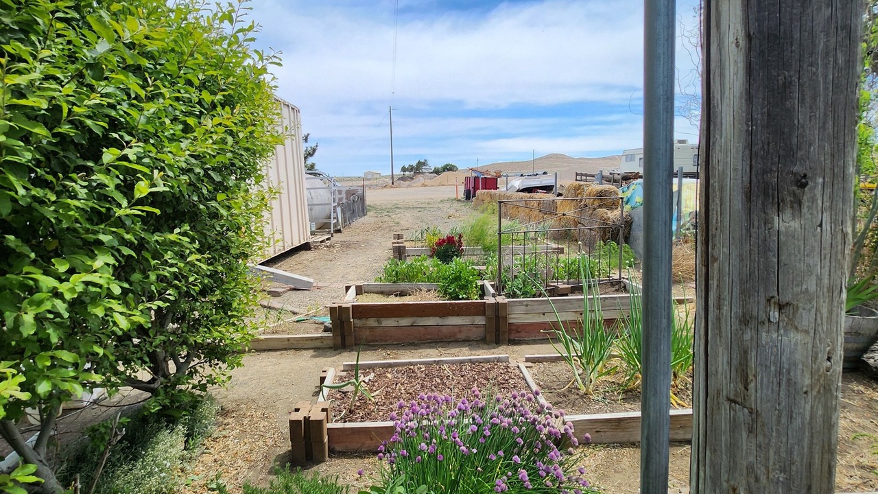 Photo of Outdoor in Murphy