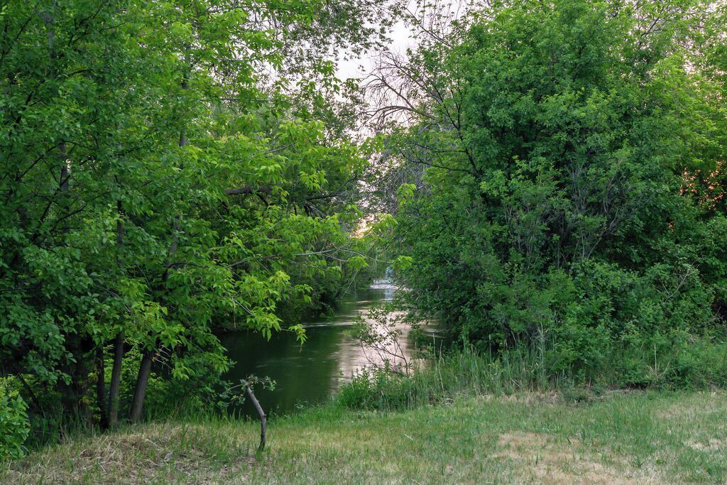 Photo of Others in St. Anthony