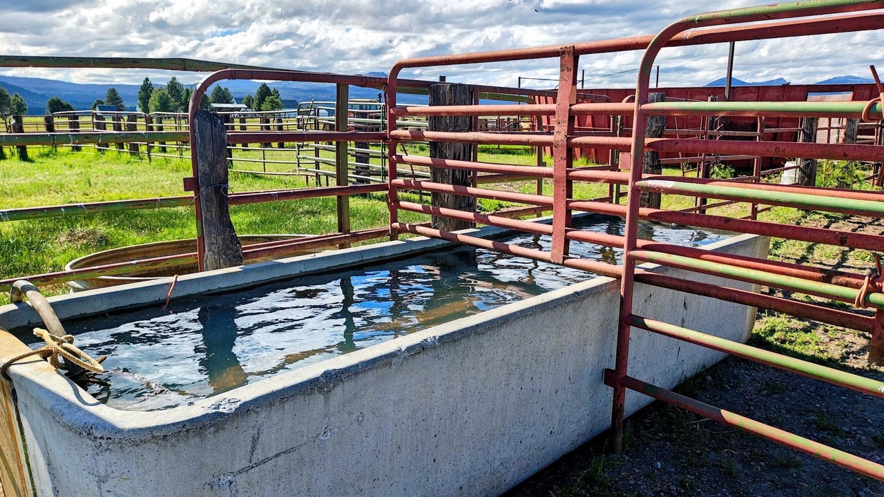 Photo of Others in Fort Klamath