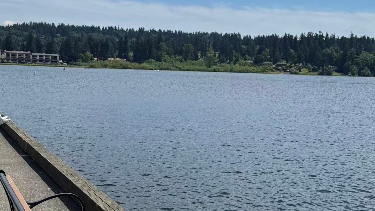 Photo of Outdoor in Kenmore