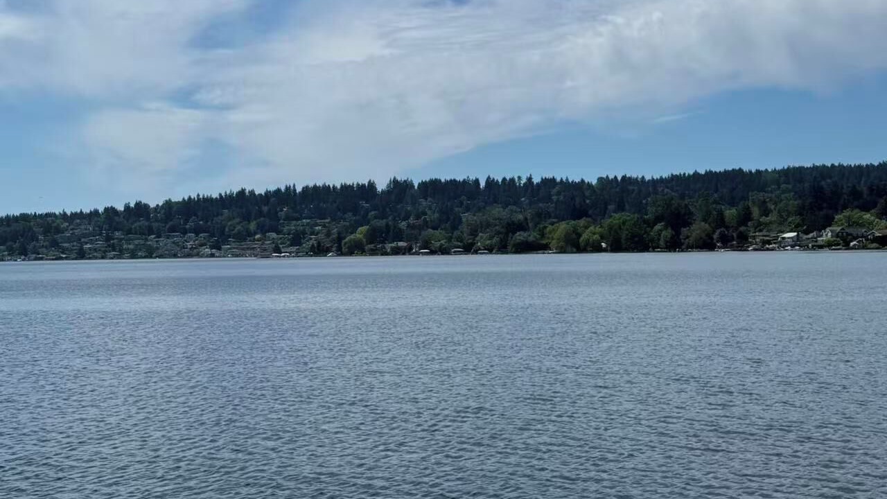 Photo of Others in Kenmore