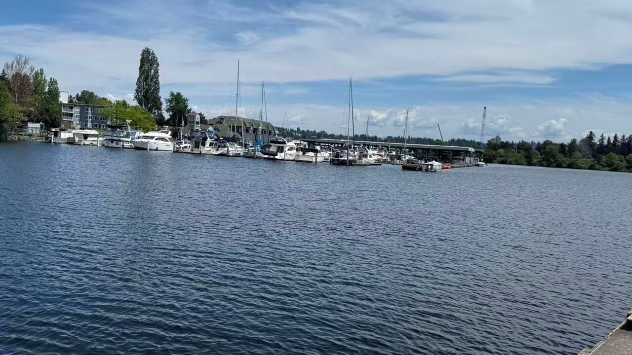 Photo of Others in Kenmore