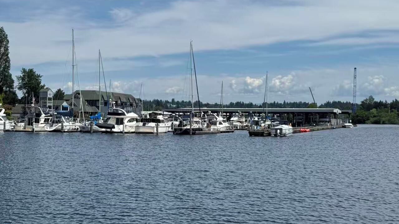 Photo of Others in Kenmore