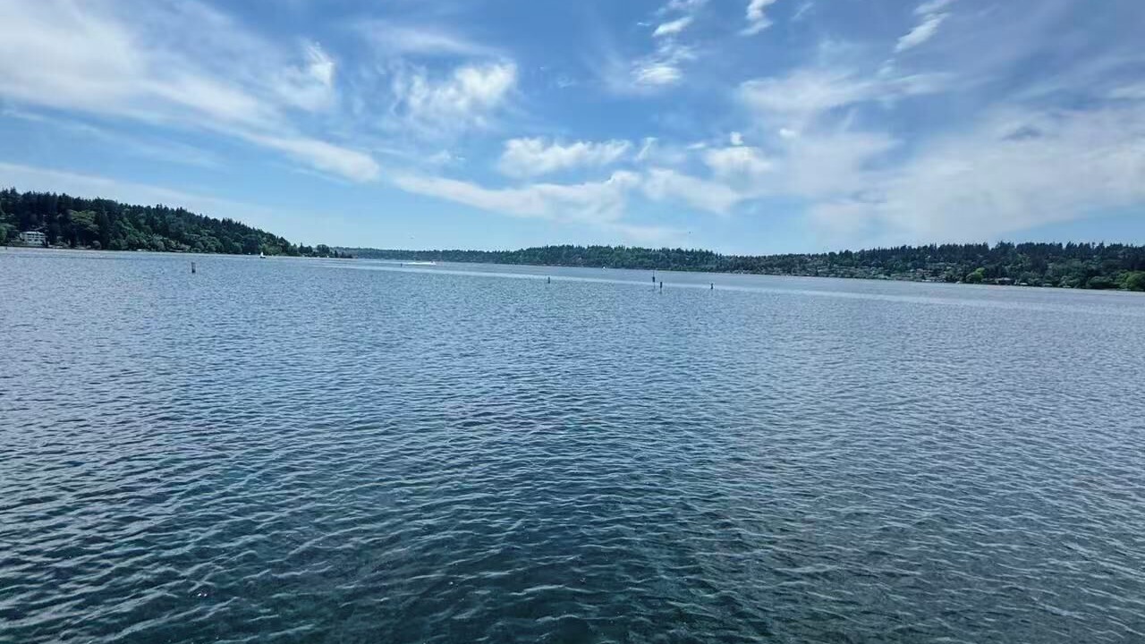 Photo of Others in Kenmore