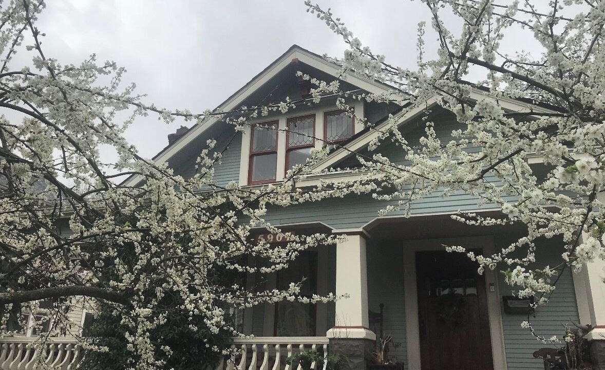 Photo of Outdoor in King
