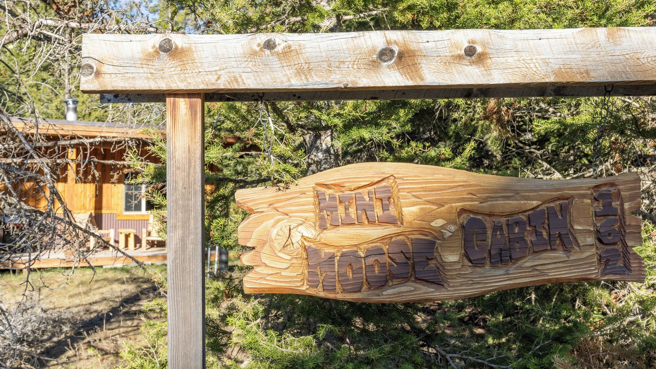 Photo of Outdoor in Lazy Acres